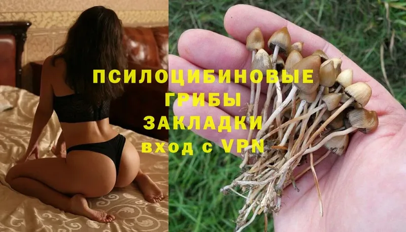 Галлюциногенные грибы MAGIC MUSHROOMS  hydra зеркало  Верхнеуральск 